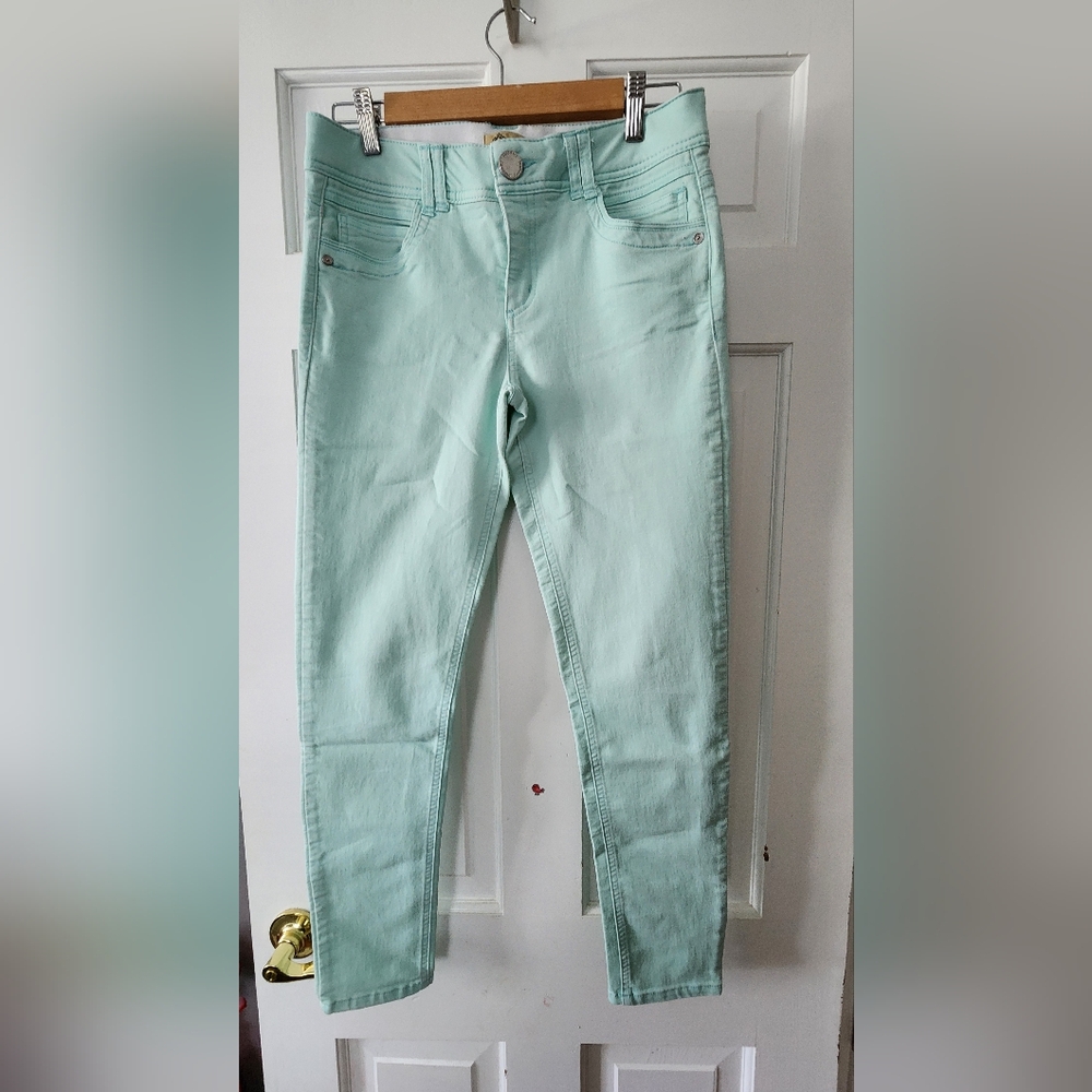Democracy mint jeans